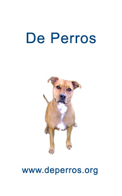 de perros